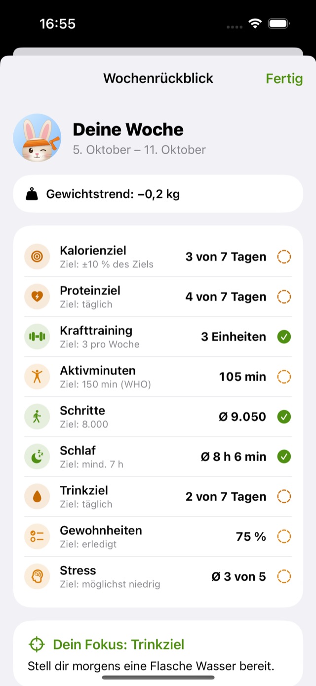 Wochenrückblick mit allen Bereichen und einem Fokus für die nächste Woche